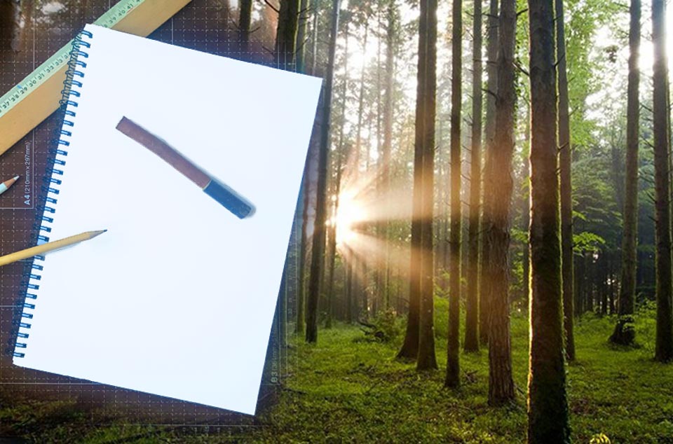 responsabilidad-corporativa-teikyoo Responsabilidad corporativa Teikyoo